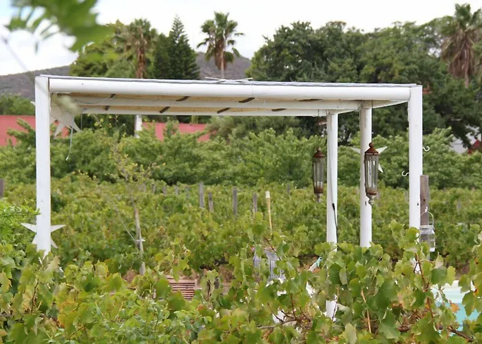 The Vineyard Country House